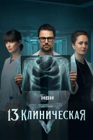 13 клиническая 2022 постер